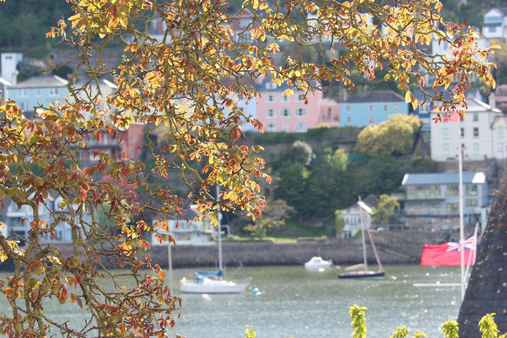 Judge'S Cottage Kingswear Exterior photo